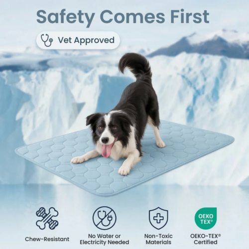Arctic Cooling Mat (Official Retailer) [year]